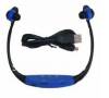 Sports MP3 / Radio Headphones Blue (OEM)